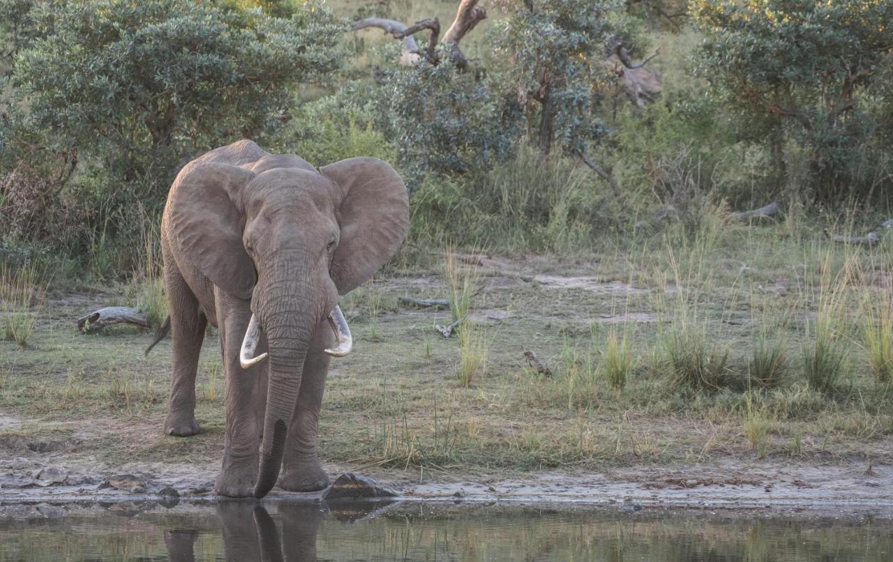 Tamboti River Lodge Hectorspruit Zewnętrze zdjęcie