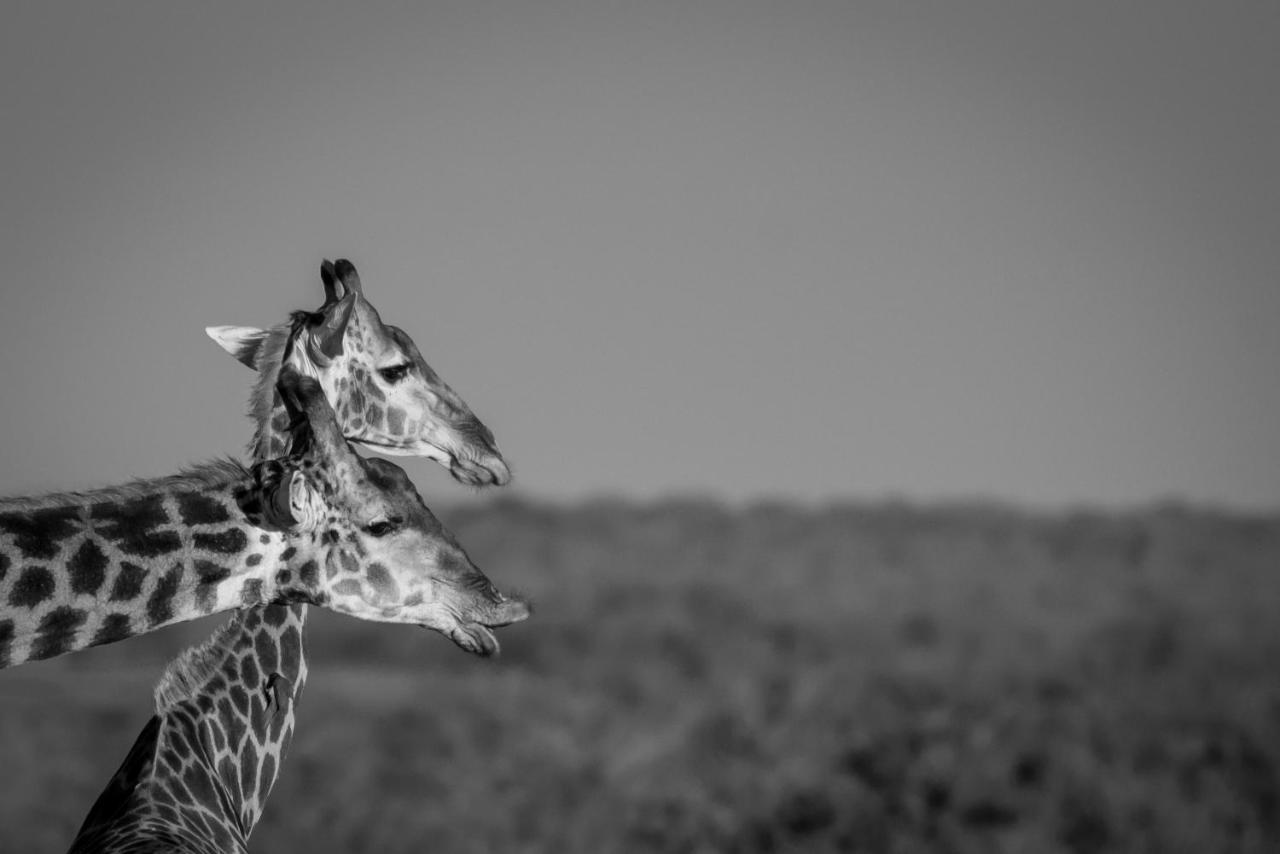 Tamboti River Lodge Hectorspruit Zewnętrze zdjęcie