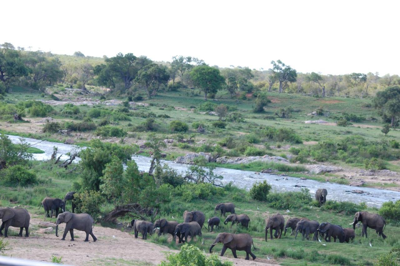 Tamboti River Lodge Hectorspruit Zewnętrze zdjęcie